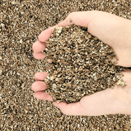 Vermiculita
